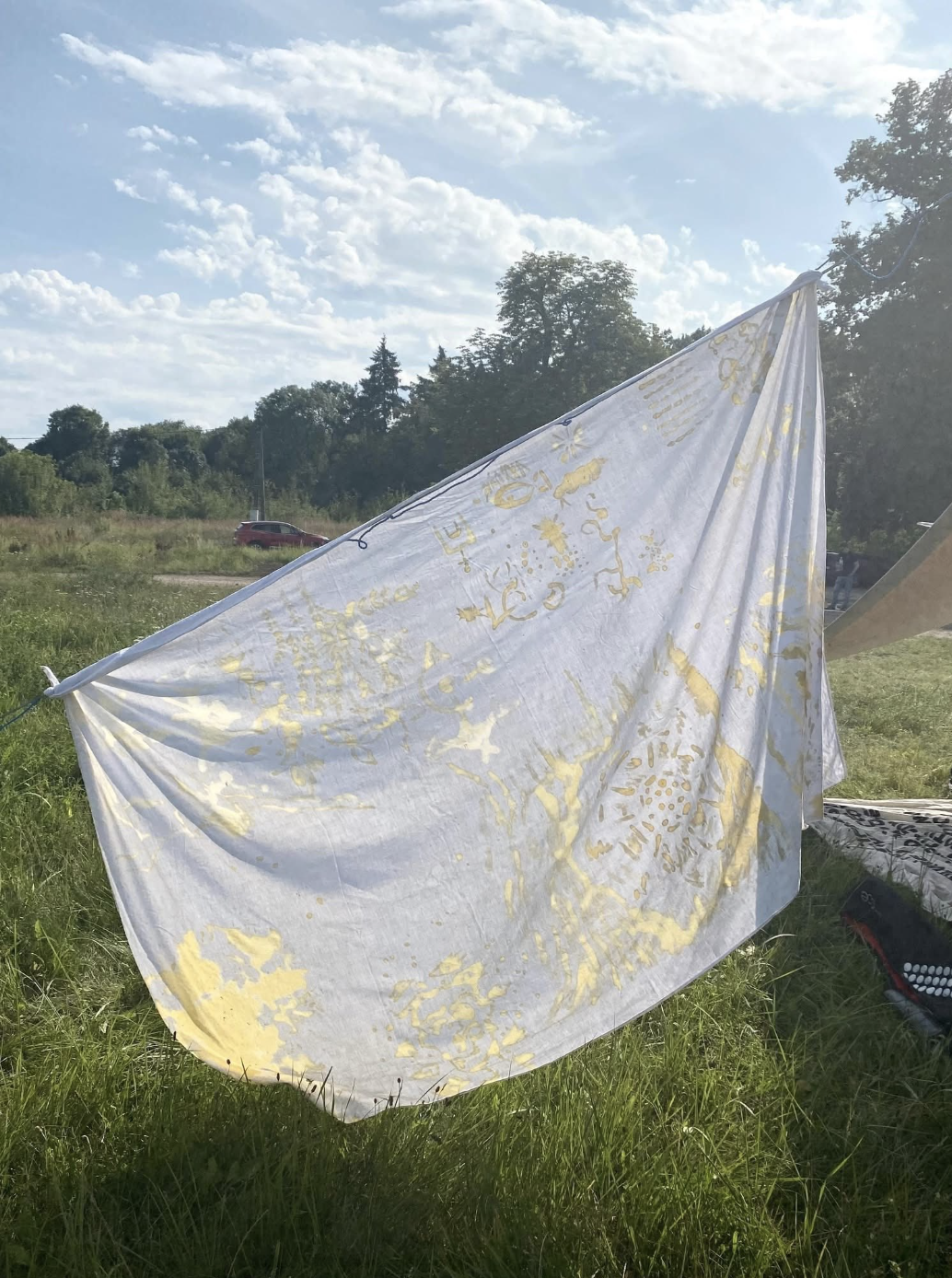 Proces malowania pigmentami roślinnymi podczas warsztatów Czas jak kłącza